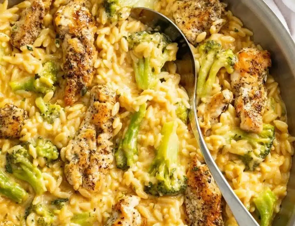 Delicious plate of Chicken and Orzo with vegetables and herbs
