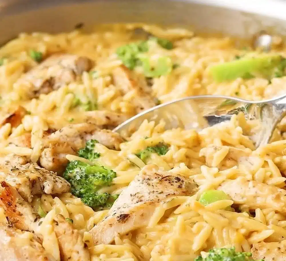 Chicken and Orzo