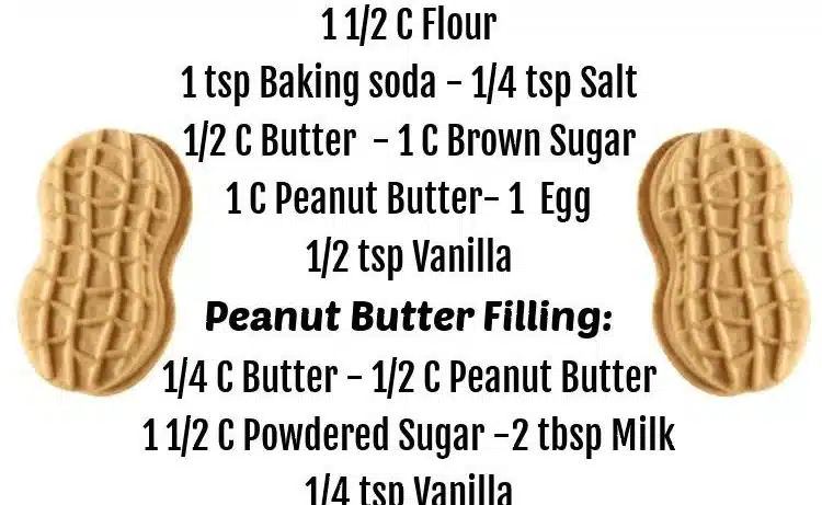 Homemade Nutter Butter Cookies Recipe | Homemade peanut butter snacks, Nutter butter cookie recipes, Easy no-butter cookie recipe