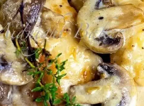 Mushroom Asiago Chicken Recipe | Saucy Chicken and Mushrooms, Chicken with Mushrooms and Asiago Cheese, Traditional Chicken Mushroom Meals