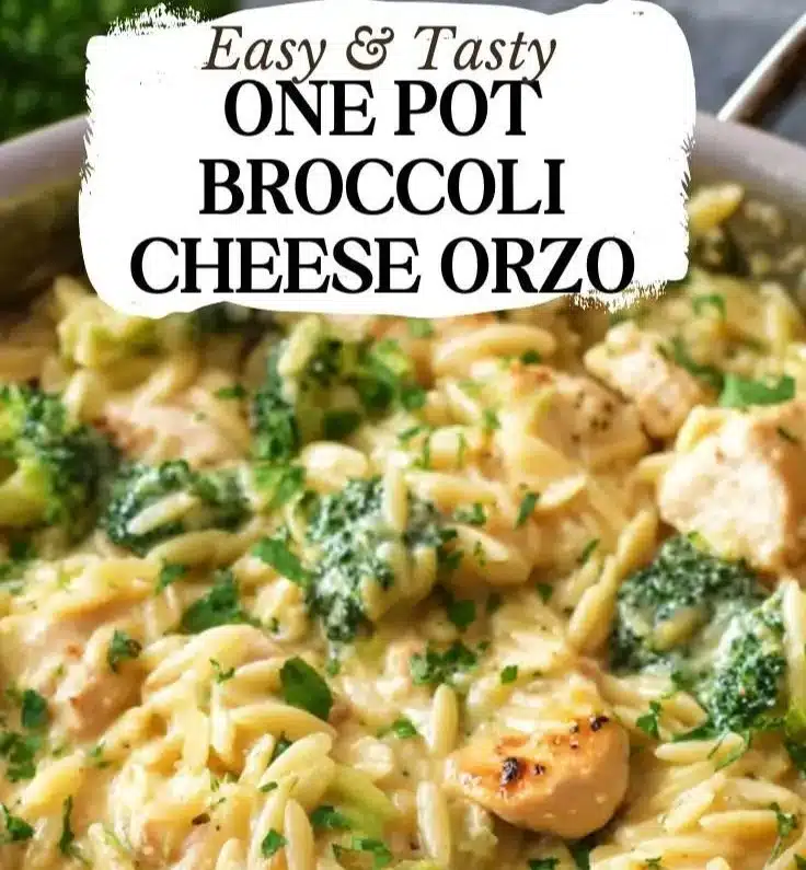 One Pot Broccoli Cheese Orzo with fresh broccoli and melted cheese