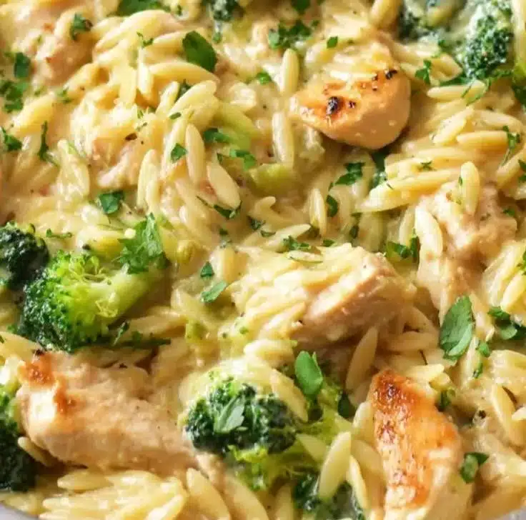 One Pot Broccoli Cheese Orzo