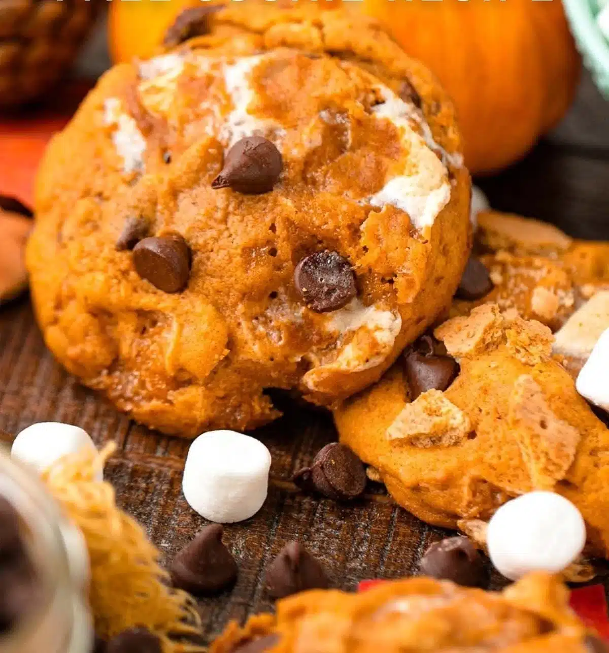 Plate of delicious Pumpkin S'mores Cookies with chocolate and marshmallows