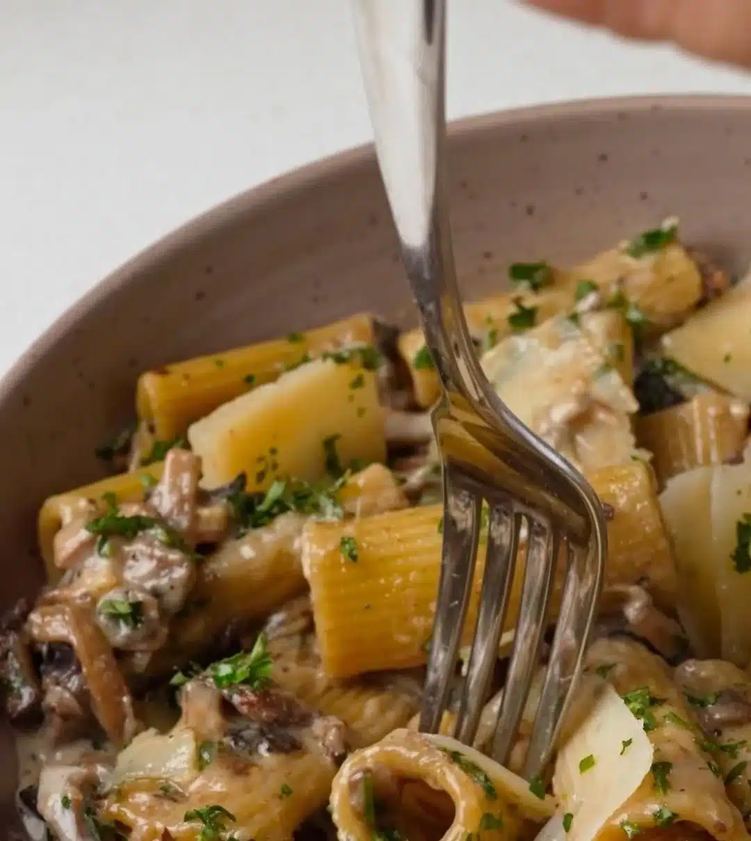 Three-Fungi Alfredo Rigatoni dish featuring creamy sauce and assorted mushrooms